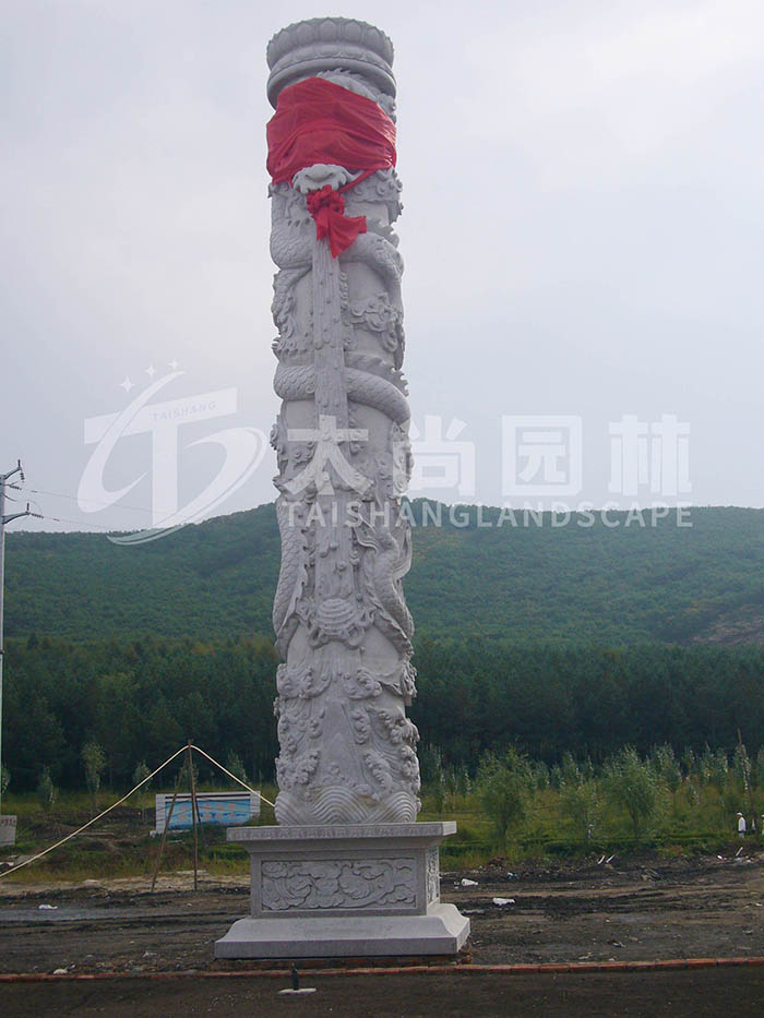 z6com������ʱ(�й���)�ٷ���վ